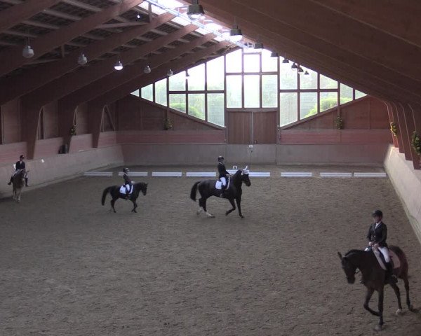 Reitturnier Dortmund-Barop 2020