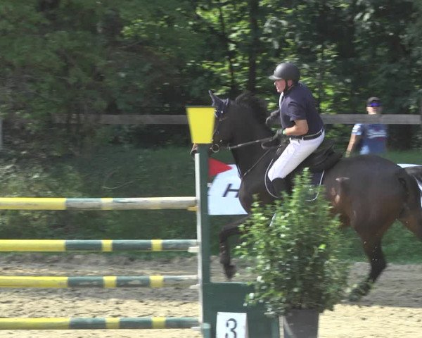 Reitturnier Walldorf/Winterheck 2020