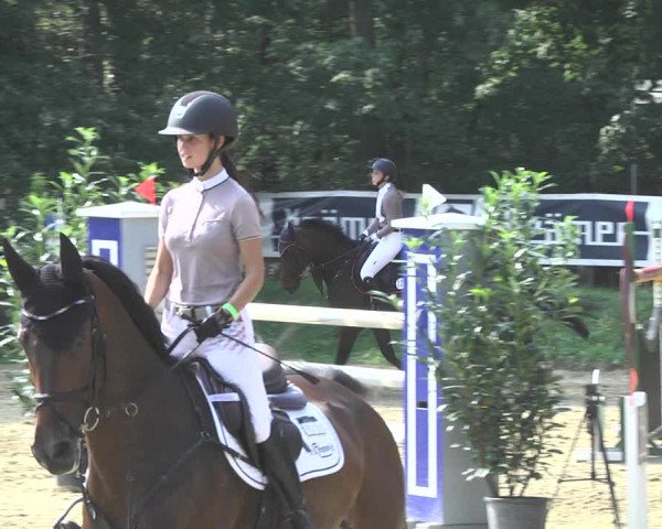Reitturnier Walldorf/Winterheck 2020