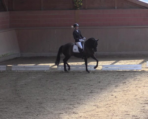 Reitturnier Dortmund-Barop 2020