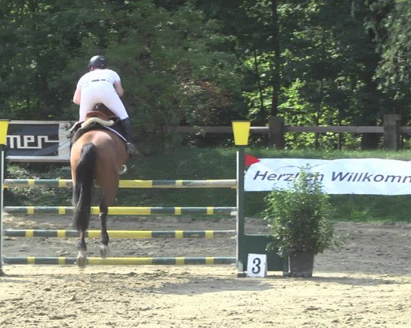 Reitturnier Walldorf/Winterheck 2020