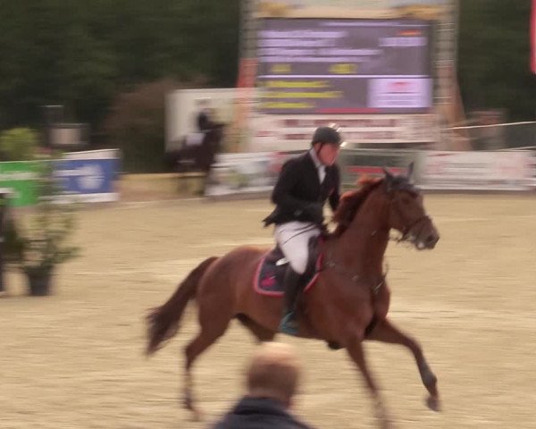 Reitturnier Redentin/Krusenhagen 2020