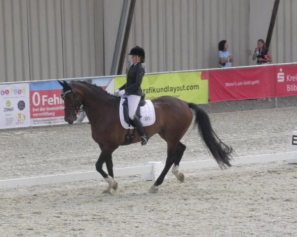 Reitturnier Ehningen 2020