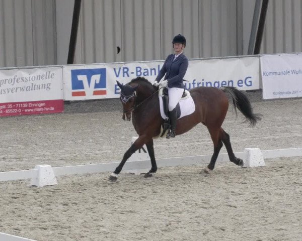 Reitturnier Ehningen 2020