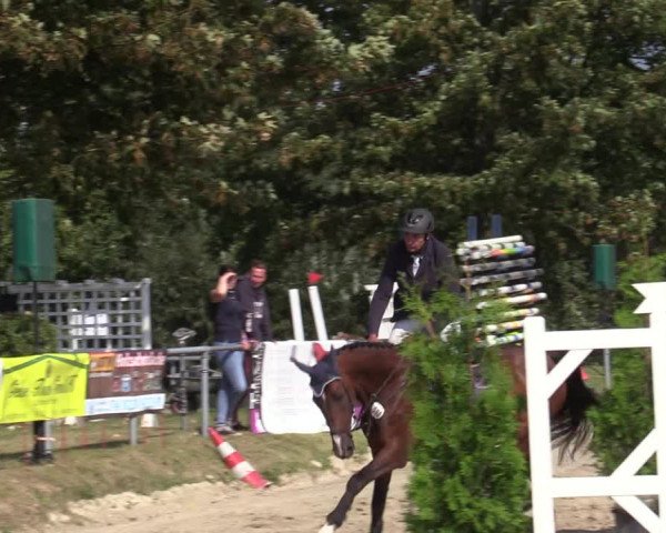 Reitturnier Dortmund-Barop 2020