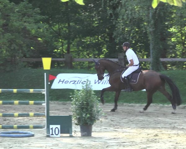 Reitturnier Walldorf/Winterheck 2020