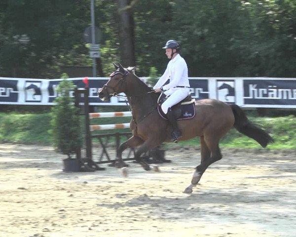 Reitturnier Walldorf/Winterheck 2020