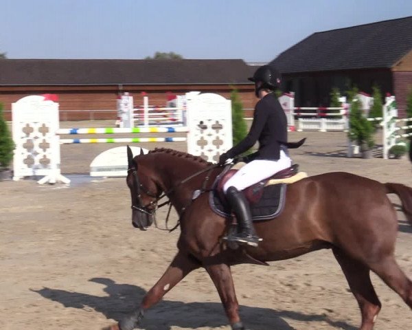 Reitturnier Dortmund-Barop 2020