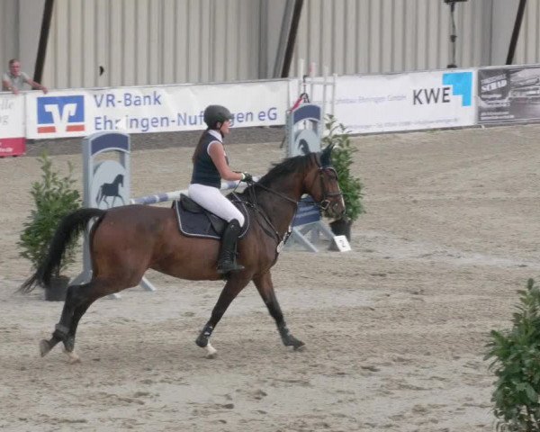 Reitturnier Ehningen 2020