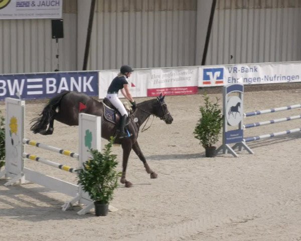 Reitturnier Ehningen 2020