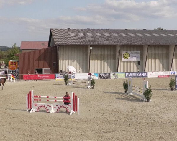 Reitturnier Ehningen 2020