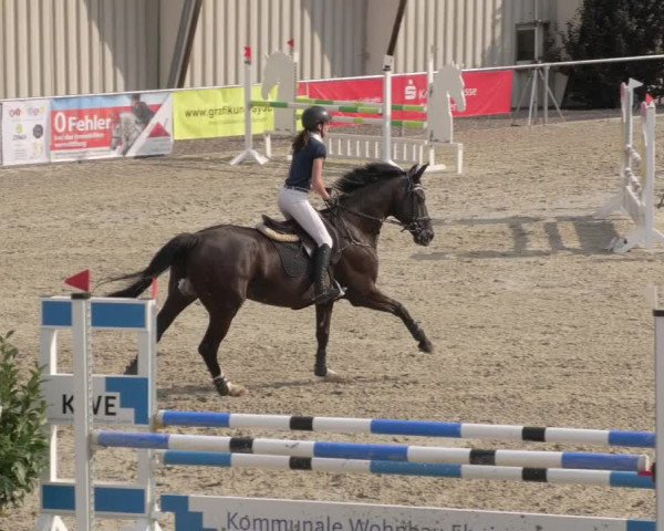 Reitturnier Ehningen 2020