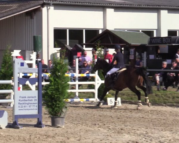 Reitturnier Dortmund-Barop 2020