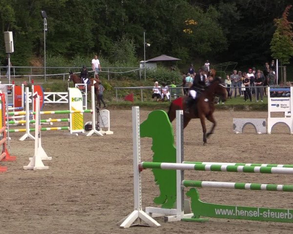 Reitturnier Lgl.-Oberhain, B95 2021