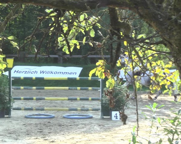 Reitturnier Walldorf/Winterheck 2020