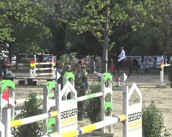 Reitturnier Walldorf/Winterheck 2020