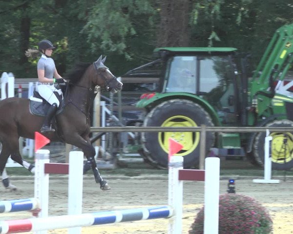 Reitturnier Walldorf/Winterheck 2020