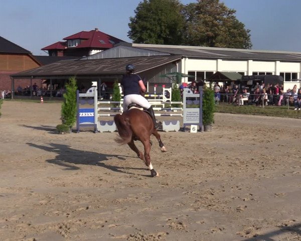 Reitturnier Dortmund-Barop 2020