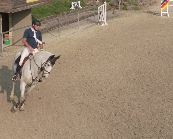 Reitturnier Ehningen 2020