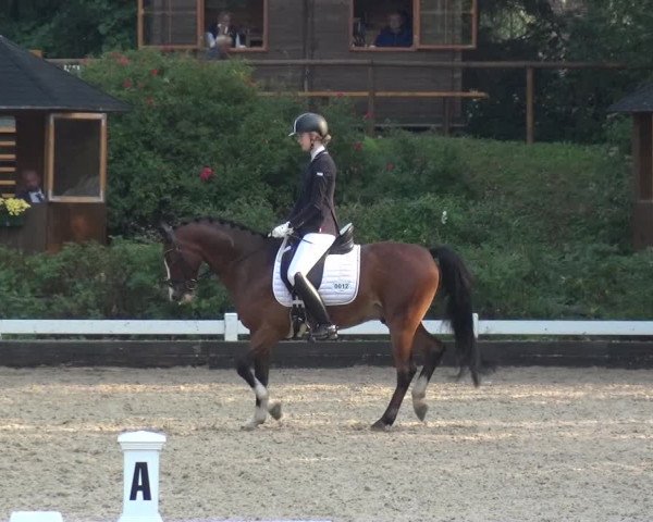 Reitturnier Mettmann - Reitanlage Löckenhoff 2020