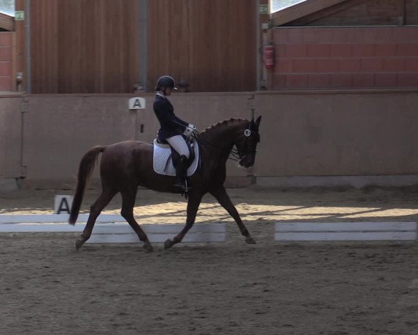 Reitturnier Dortmund-Barop 2020