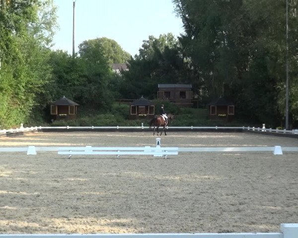 Reitturnier Mettmann - Reitanlage Löckenhoff 2020
