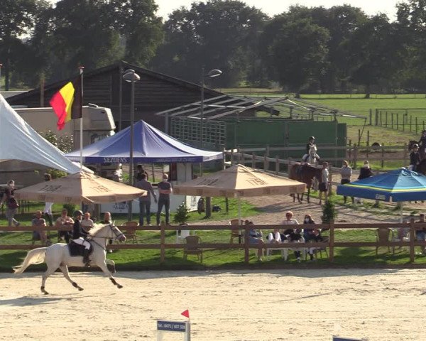 Gouden Laars Grote Brogel 2020