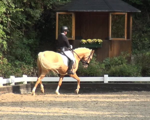 Reitturnier Mettmann - Reitanlage Löckenhoff 2020
