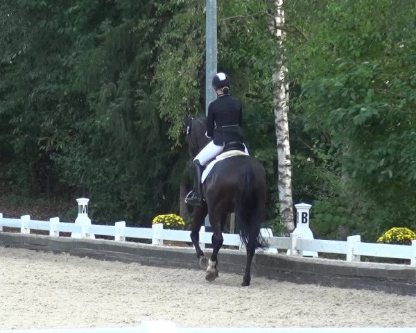 Reitturnier Mettmann - Reitanlage Löckenhoff 2020