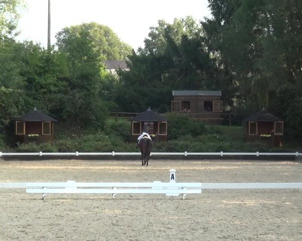 Reitturnier Mettmann - Reitanlage Löckenhoff 2020