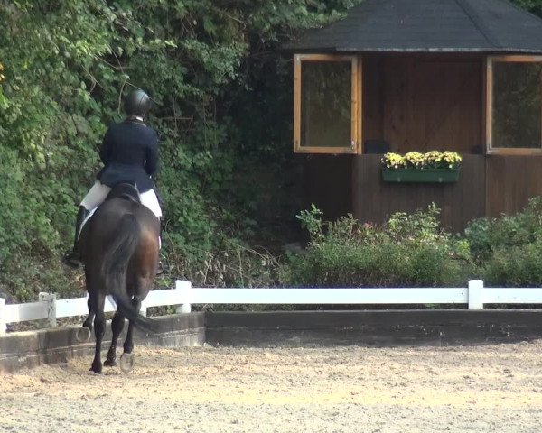 Reitturnier Mettmann - Reitanlage Löckenhoff 2020