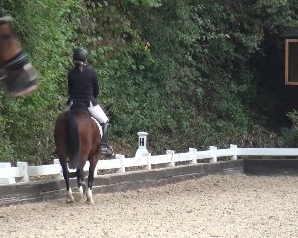 Reitturnier Mettmann - Reitanlage Löckenhoff 2020