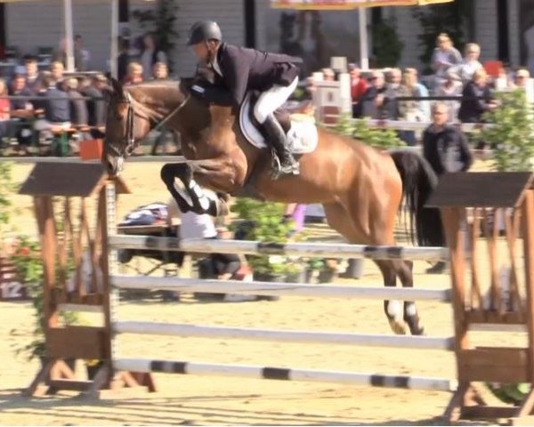 jumper Charlott (Westphalian, 2010, from Comme il Faut)