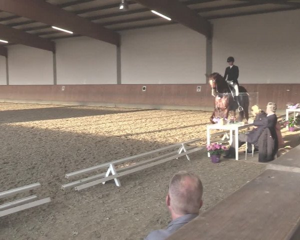 Reitturnier Gut Hohenkamp / Dorsten 2020