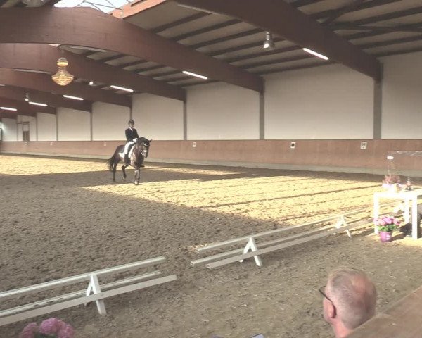 Reitturnier Gut Hohenkamp / Dorsten 2020