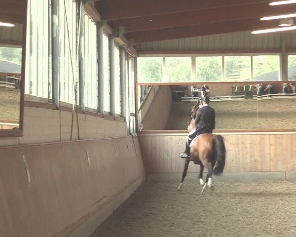 Reitturnier Gut Hohenkamp / Dorsten 2020