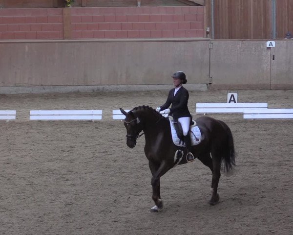 Reitturnier Dortmund-Barop 2020