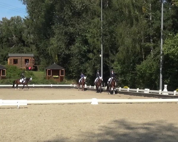 Reitturnier Mettmann - Reitanlage Löckenhoff 2020