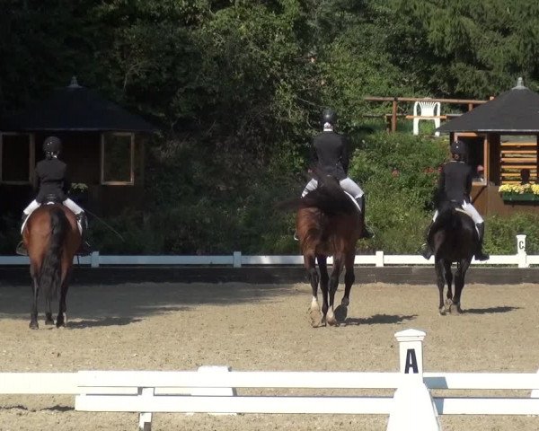 Reitturnier Mettmann - Reitanlage Löckenhoff 2020