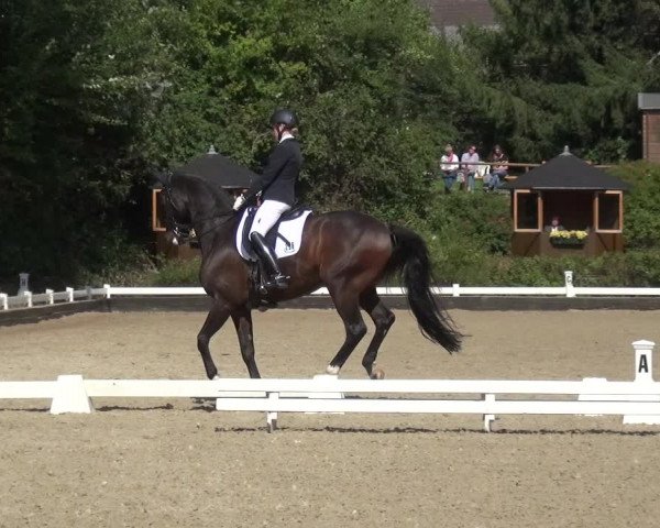 Reitturnier Mettmann - Reitanlage Löckenhoff 2020