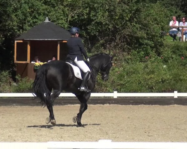 Reitturnier Mettmann - Reitanlage Löckenhoff 2020
