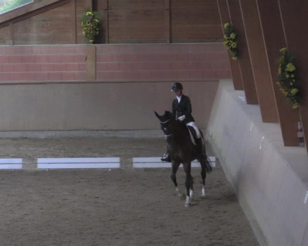 Reitturnier Dortmund-Barop 2020