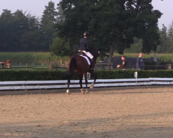 Reitturnier Ochtrup 2020