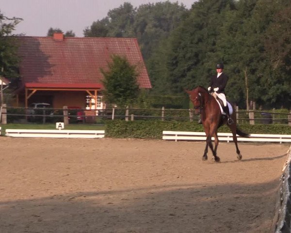 Reitturnier Ochtrup 2020