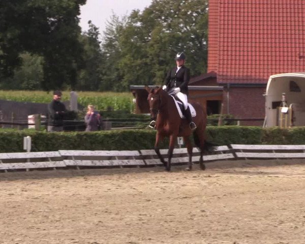 Reitturnier Ochtrup 2020