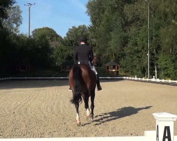 Reitturnier Mettmann - Reitanlage Löckenhoff 2020