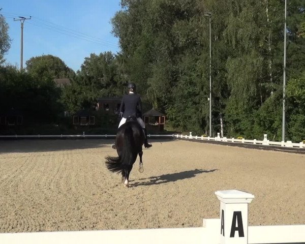 Reitturnier Mettmann - Reitanlage Löckenhoff 2020