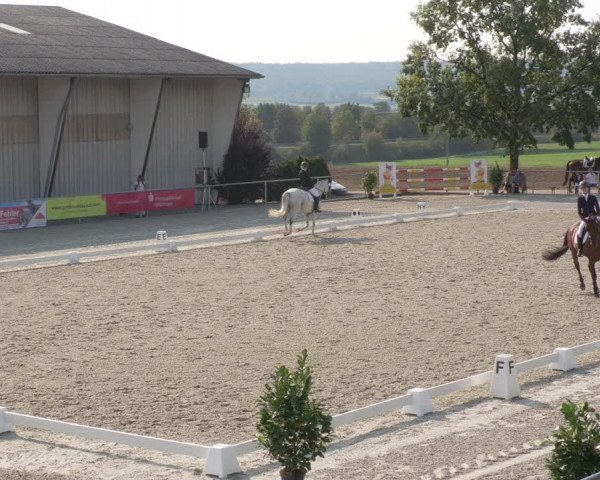 Reitturnier Ehningen 2020