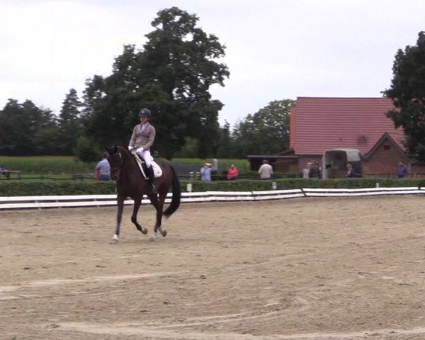 Reitturnier Ochtrup 2020