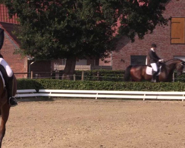Reitturnier Ochtrup 2020